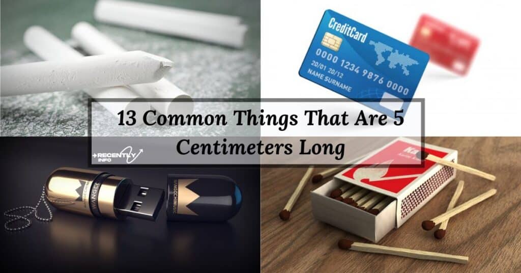 13 Common Things That Are 5 Centimeters Long