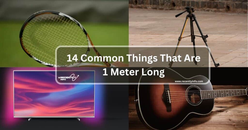 14 Common Things That Are 1 Meter Long