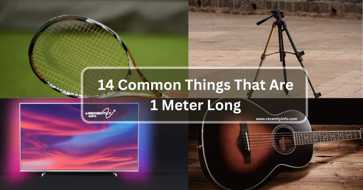 14 Common Things That Are 1 Meter Long