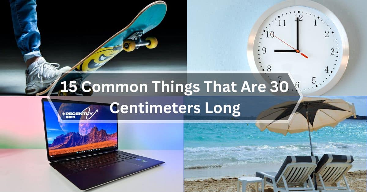 15 Common Things That Are 30 Centimeters Long