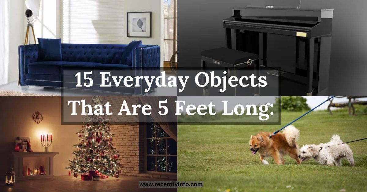 15 Everyday Objects That Are 5 Feet Long