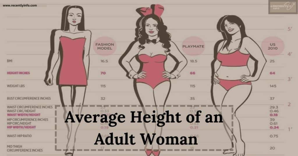 Average Height of an Adult Woman