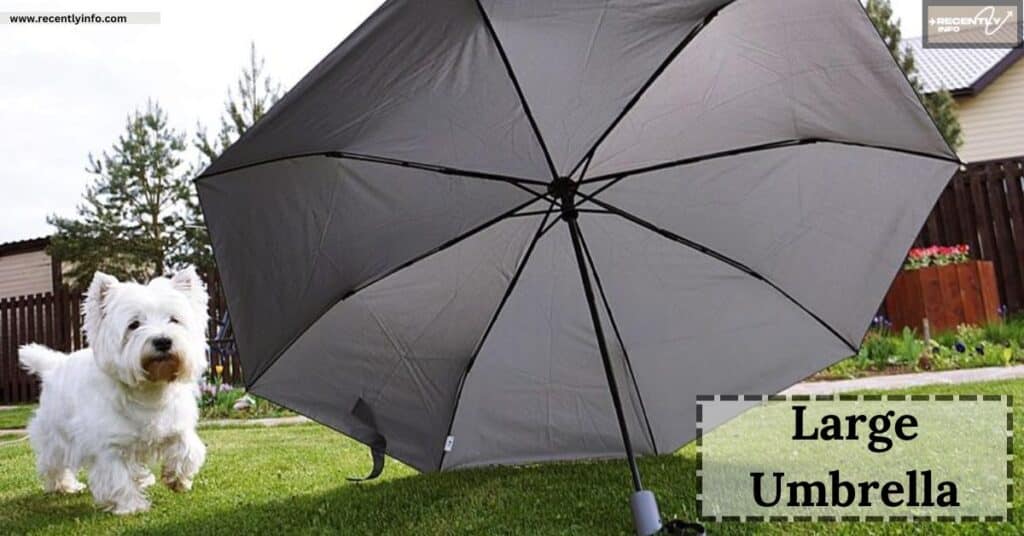 Large Umbrella