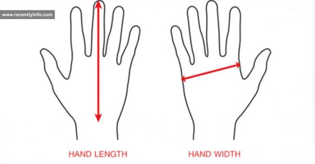 Hand Width